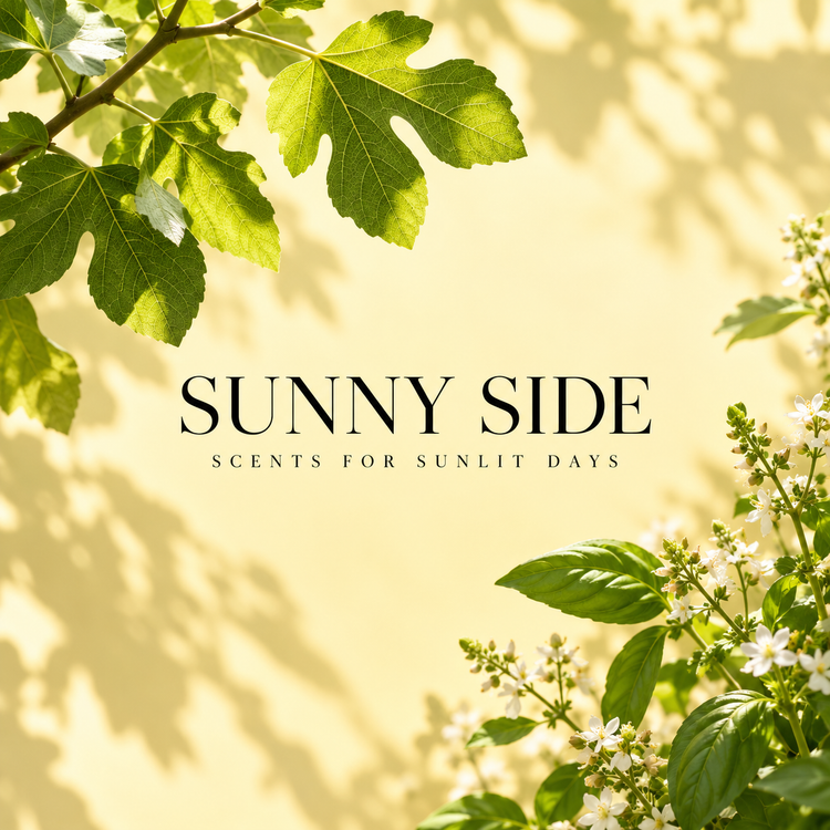 Sunny Side