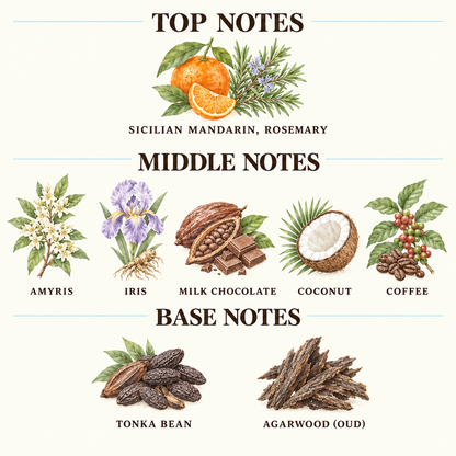 A fragrance notes graphic with illustrated botanicals labeled Top Notes, Middle Notes, and Base Notes on an off-white background. Top Notes include bergamot, juniper berry, and lemon.