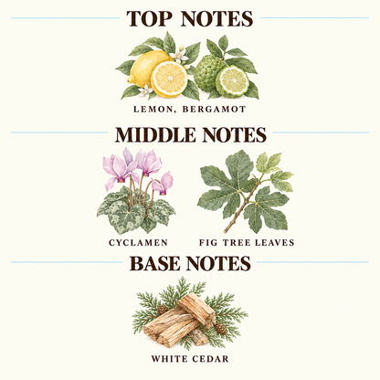 A fragrance notes chart on a cream background, titled 'TOP NOTES', 'MIDDLE NOTES', and 'BASE NOTES'. It features botanical illustrations and names for Cardamom, Violet, Iris, Papyrus, Sandalwood, Cedarwood, Ambrox, and Leather.