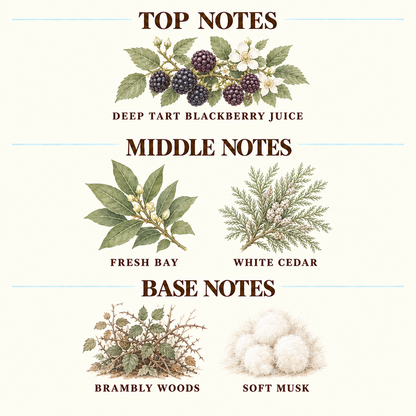 Vine 15:5 Blackberry & Bay (Jo Malone) Inspired